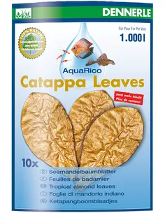 Dennerle catappa leaves