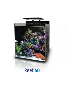Blue Marine Reef 60 dekruit