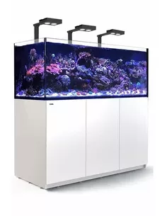Red Sea reefer deluxe xxl 625