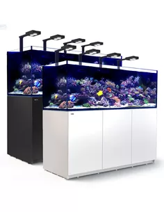 Red Sea reefer xxl deluxe 750