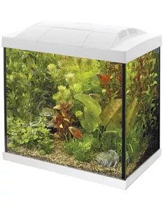 Start Tropical kit 30 aquarium Wit
