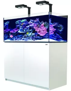 Red Sea reefer deluxe 425 XL