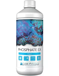 Colombo Phosphate Ex