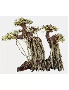 Bonsai twin tree M