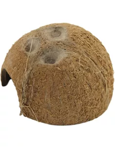 Ceramic Nature Halve Kokosnoot