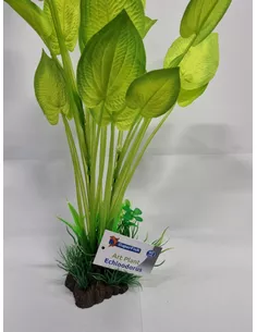 SF Art Plant 40cm Echinodorus