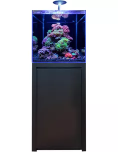 Blue Marine Reef 125 zwart complete kit