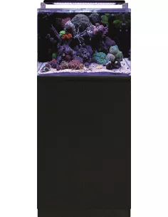 Blue marine Reef 120 meubel